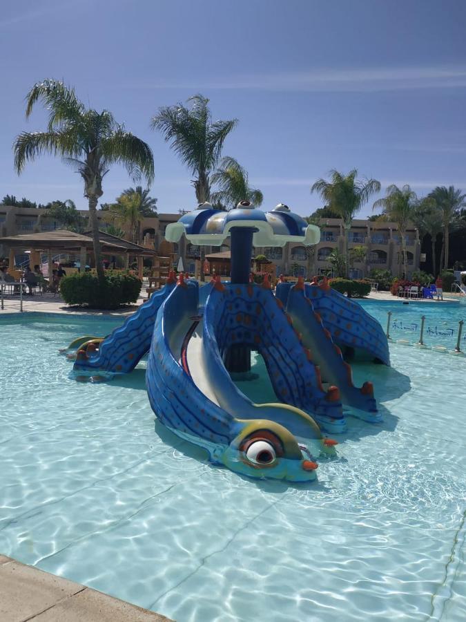 Prima Life Makadi Hotel Hurghada Exterior photo The Dolphin slide at the Water Park