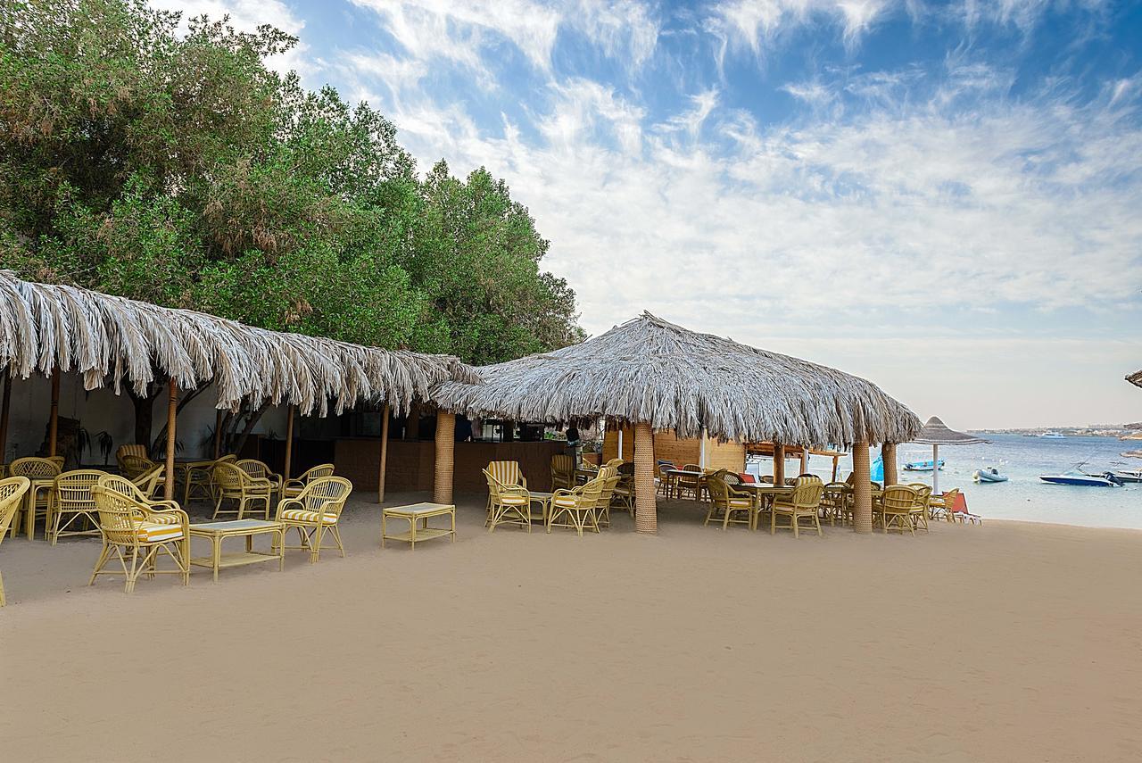 Prima Life Makadi Hotel Hurghada Exterior photo Beach at the resort